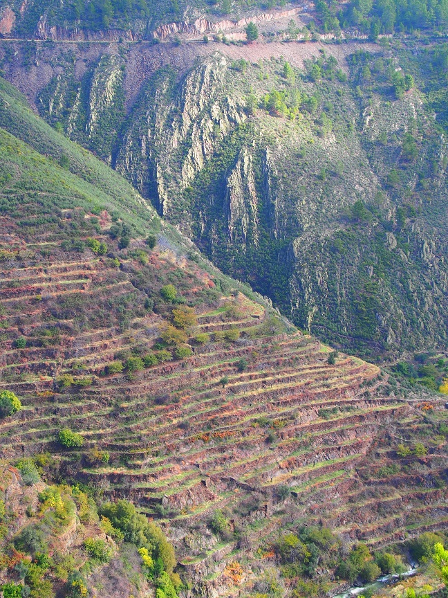 Bancales hurdanos